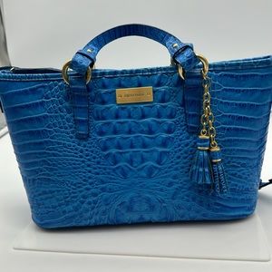 Brahmin Handbag